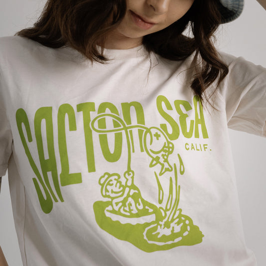 Salton Sea California